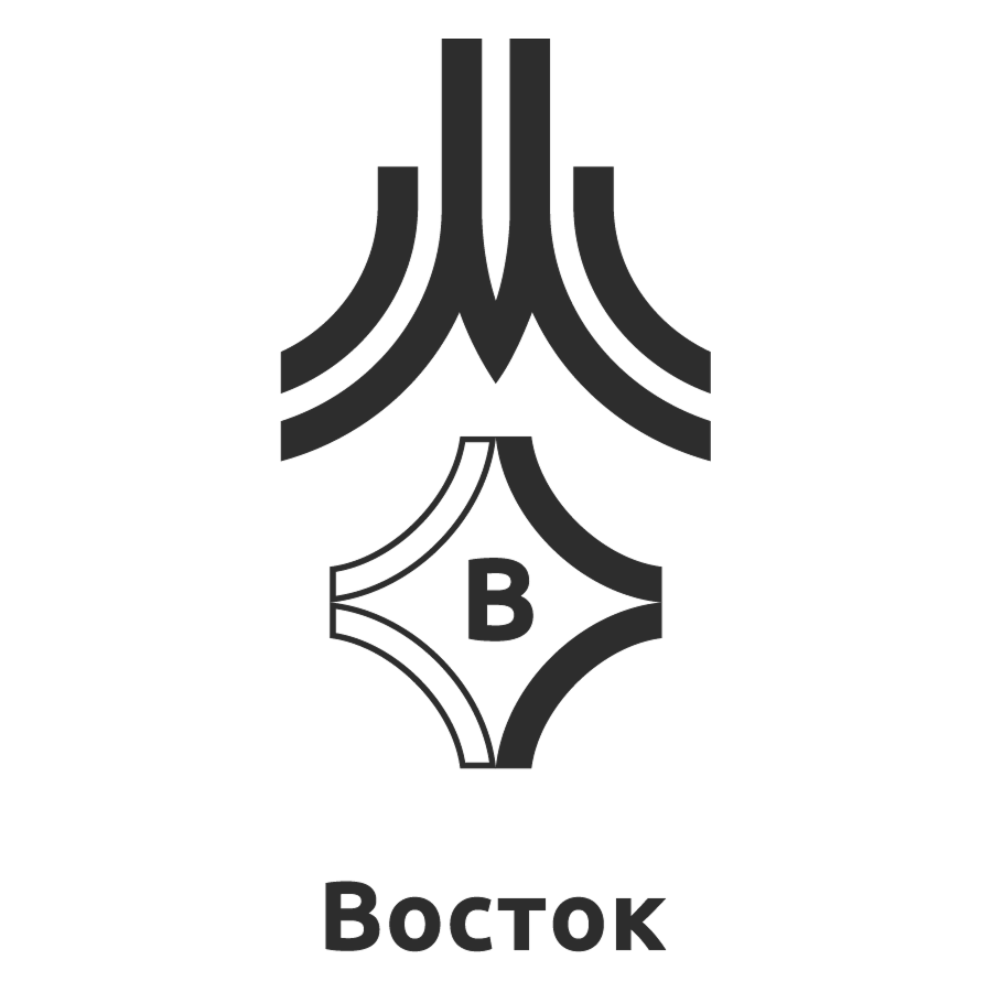 ГБУ ДО МКСШОР «Восток»